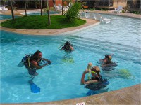 Do your Diving Courses with Portofino Action Divers!
