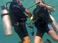 Portofino-Action-Divers-Belize