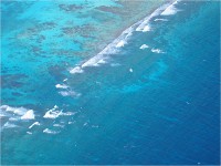 The reef is right in front of Portofino Belize!