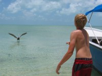 Feeding the pelican while waiting till lunch is ready!