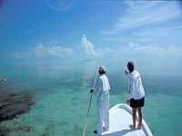 Fly fishing the flats in Belize!