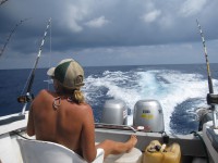 We also arrange deep sea fishing.